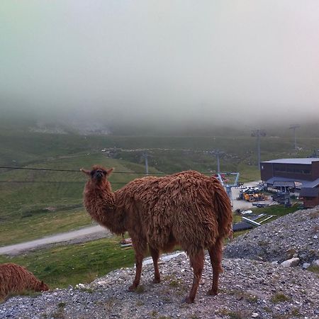 Le Petit Studio Du Tourmalet Pied Des Pistes - 拉姆吉 外观 照片