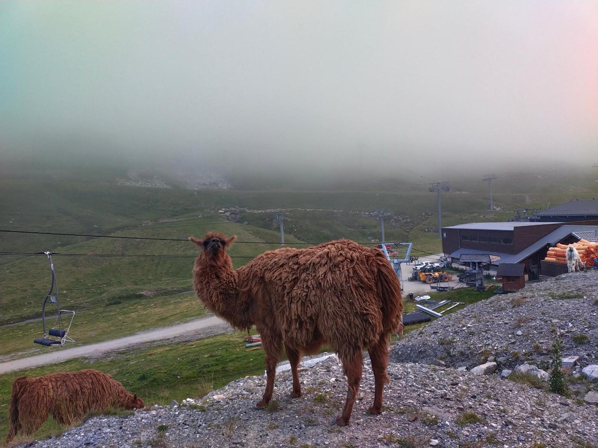 Le Petit Studio Du Tourmalet Pied Des Pistes - 拉姆吉 外观 照片