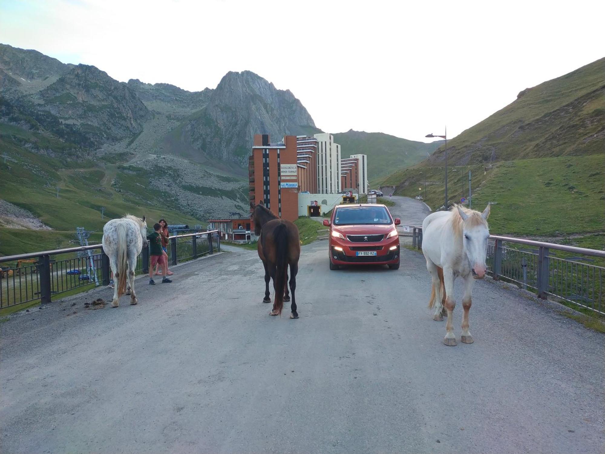 Le Petit Studio Du Tourmalet Pied Des Pistes - 拉姆吉 外观 照片