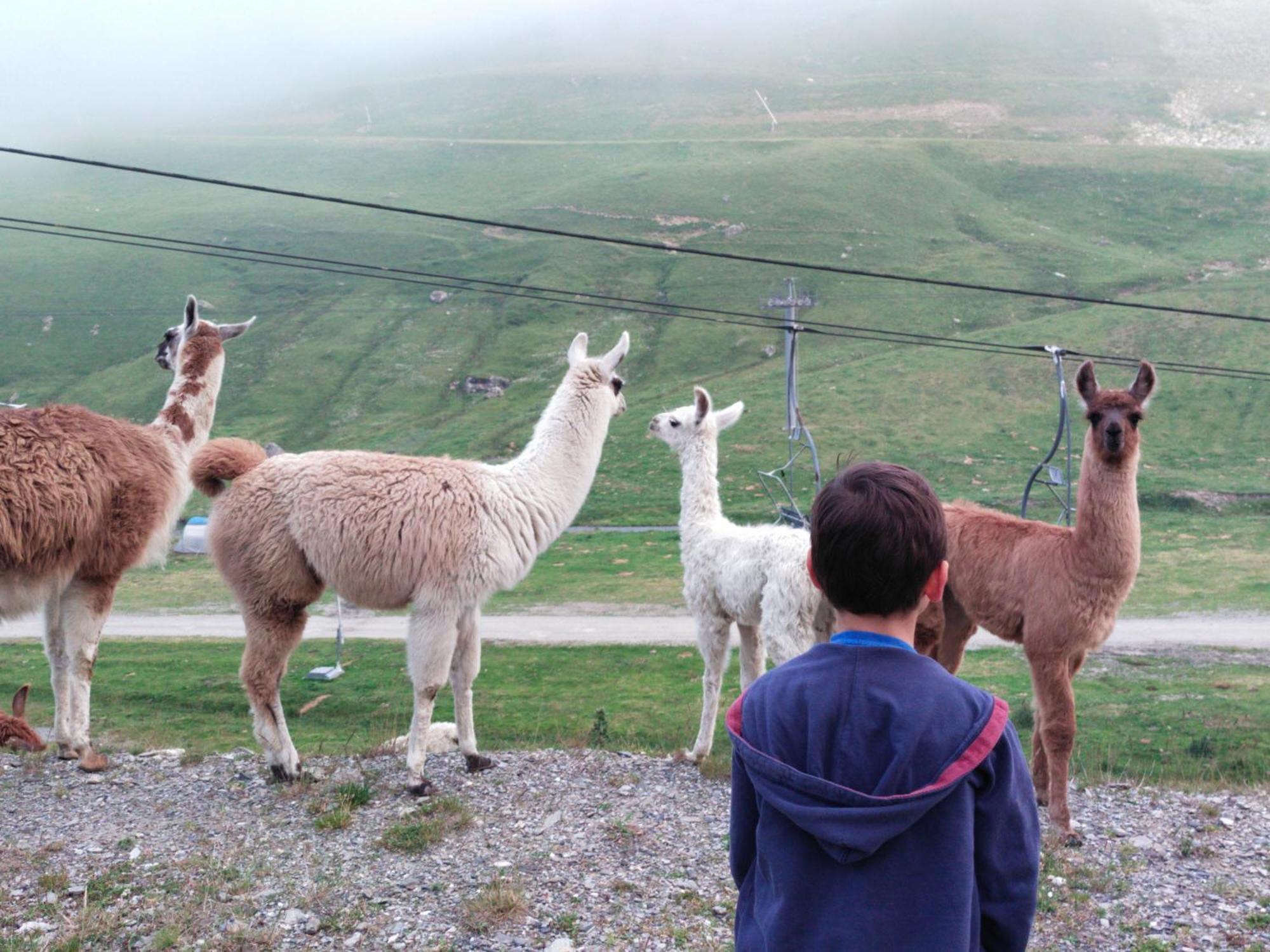 Le Petit Studio Du Tourmalet Pied Des Pistes - 拉姆吉 外观 照片